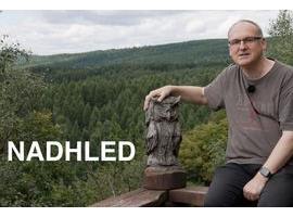 Nadhled. Aneb Biskupské přiznání